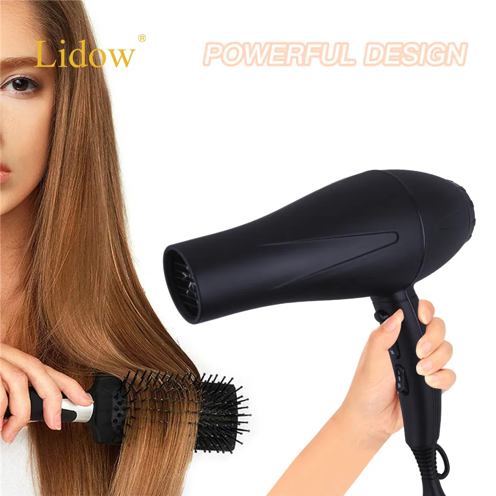 AC Motor Professional Blow Dryer Secadora De Cabello Strong Power Salon Hair Dryer