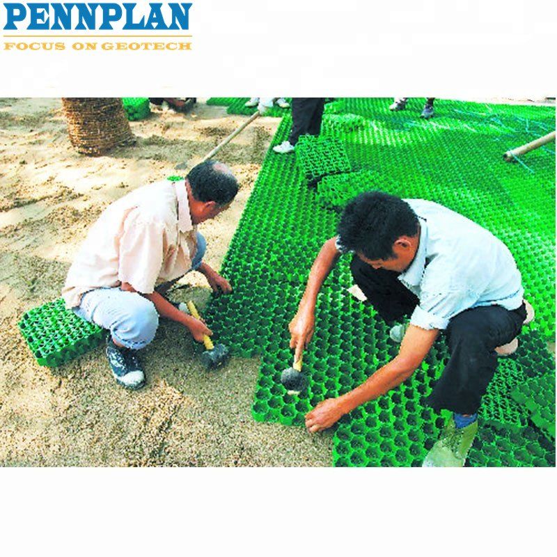 Construction Material Plastic Grass Grid Used in Sidewalks, Parking Lots