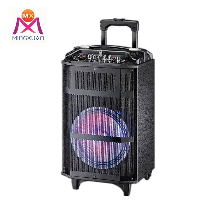 Портативная колонка Bluetooth 10 дюймов с выдвижной ручкой