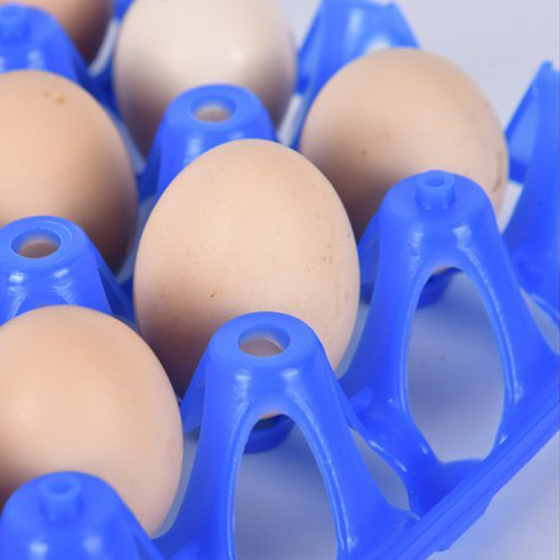 HDPE Plastic Egg Holder 30PCS Pack Durable Plastic Packaging