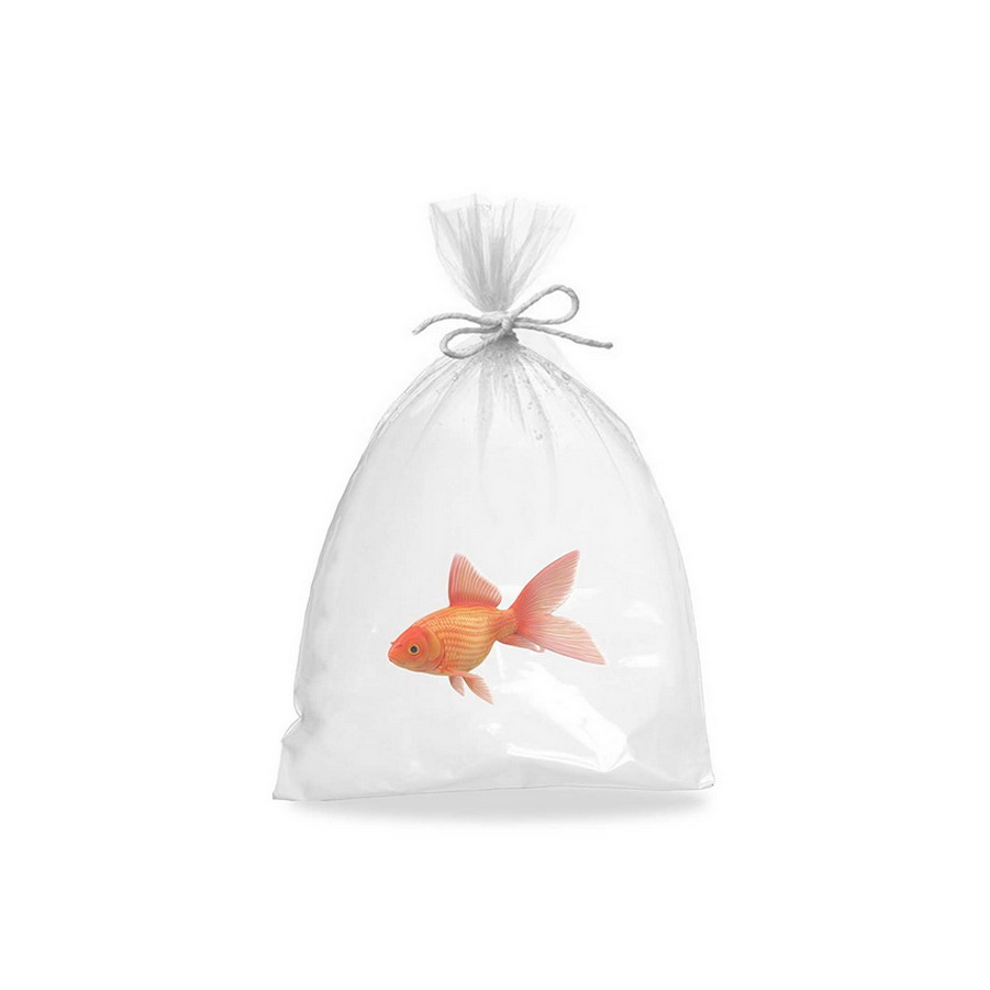 Produce Bag Roll Clear Plastic Bags for Bread & Grocery