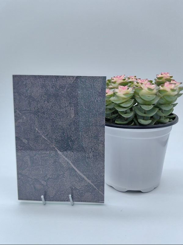 Low Iron/Bronze/Grey/Blue/Green/Pink Clear/Tinted/Colored/Frosted Silk Screen Printed Glass for Interior Decoration/Building