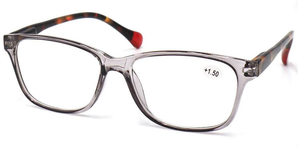 Popular PC Frame Reading Glasses (RP474029(1))