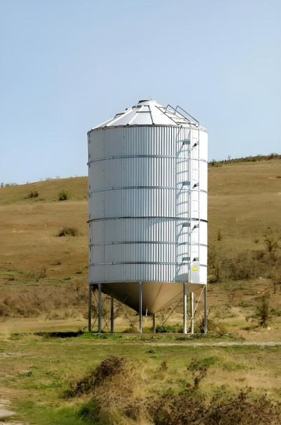 Hot Galvanized Small Steel for Sale 10000 Ton Grain Silo