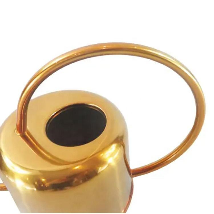 Indoor Gold Stainless Steel Easy Pour Long Spout Watering Pot Watering Can