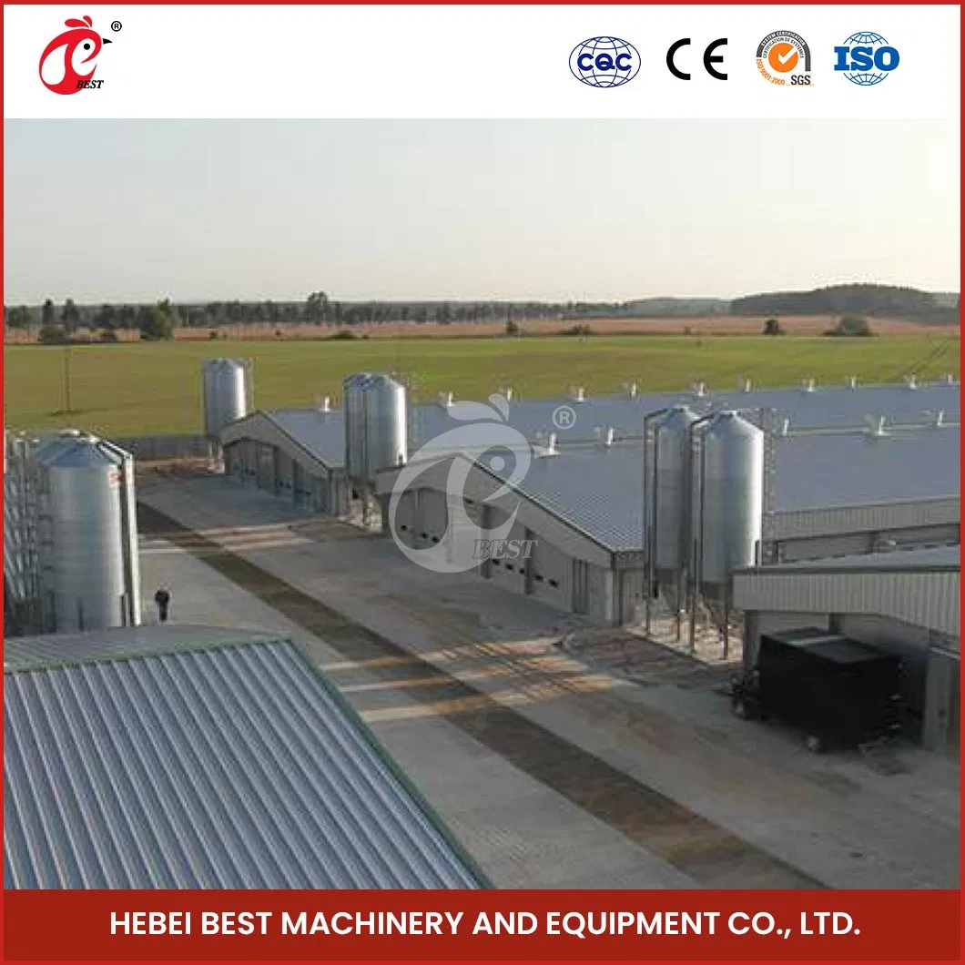 Bestchickencage Steel Poultry House China Automatic Steel Poultry Cages Supplier OEM Customized Prefabricated Steel Structure Chicken Broiler House