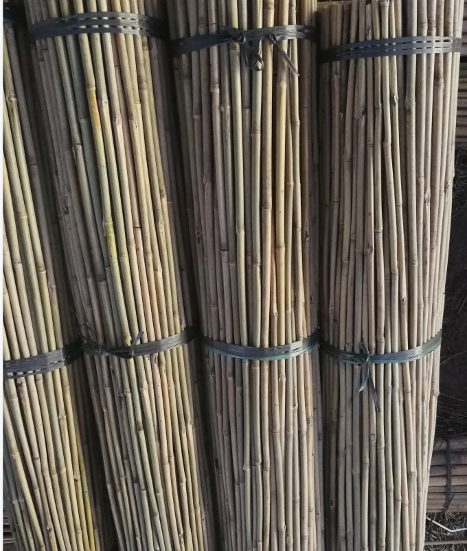 Bamboo Raw Materials Bamboo Cane Bamboo Pole for Plant