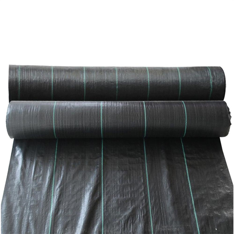 Premium PP Woven Weed Control Fabric for Garden Use