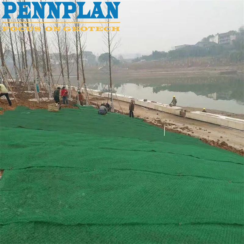 High Quality Tri-Dimension Geomat High Quality 3D Geomat New Type of Geosynthetic Material Geomat Nuolian