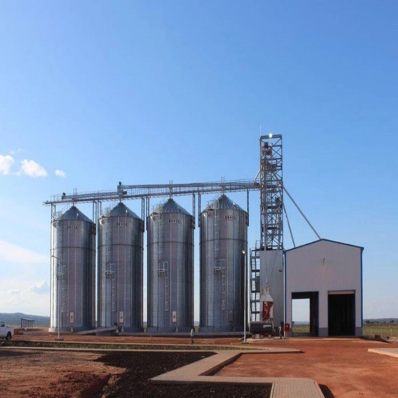 Design Prefabricated House Structural Steel Warehouse Shed Building