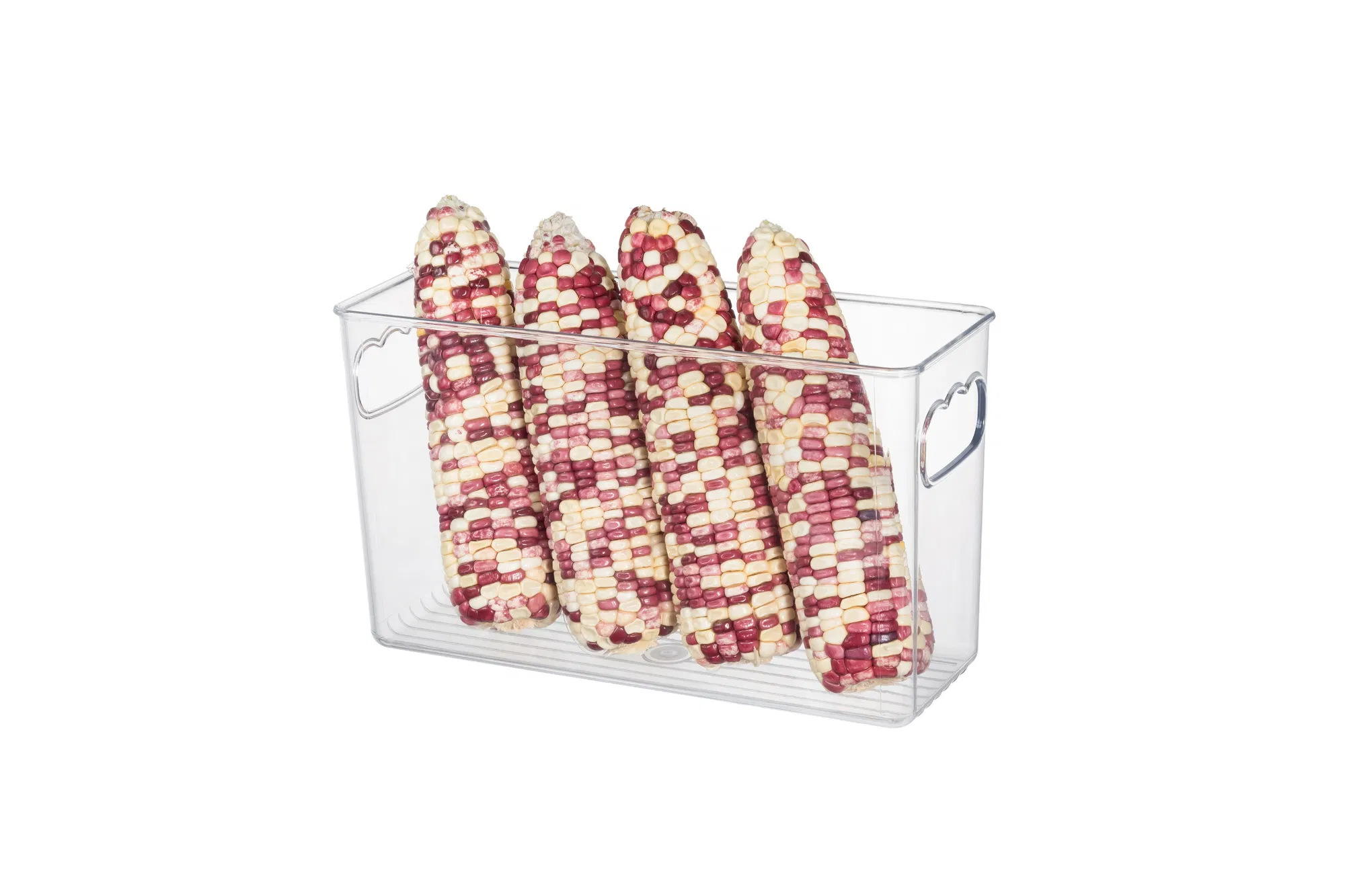 Household Pet Clear Storage Bin for Kitchen Room