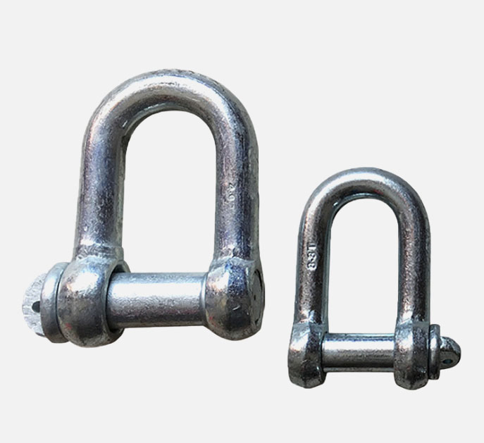 Forged D Type Anchor End Shackle HDG