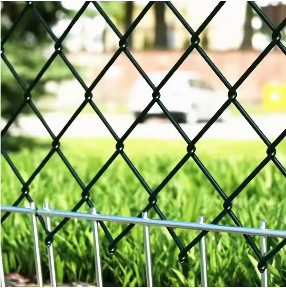 Cheap Galvanized Diamond Wire Netting PVC Chain Link Fence for Seaside Fence