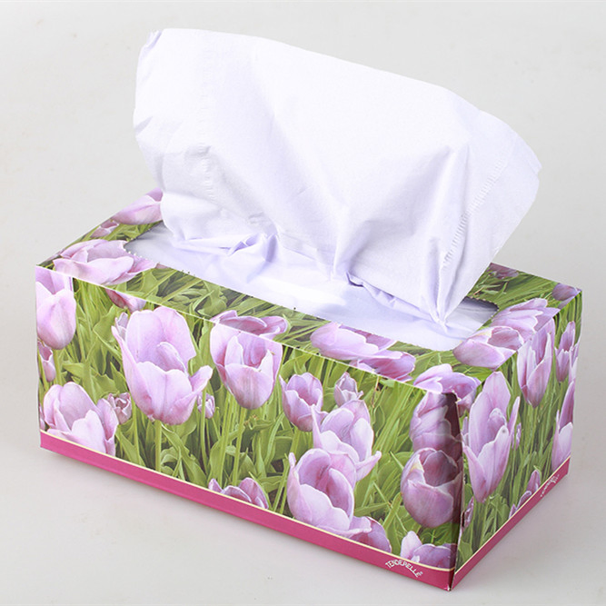 Hot Sale Natural White Soft Facial Tissues Paper