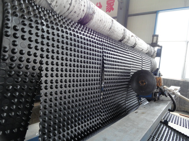 Dimple Plastic Drain Sheet Dimple Drain Sheets