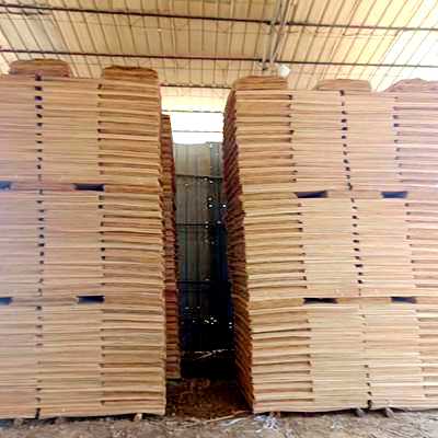 2.2mm Eucalyptus Core Veneer Board From Uganda South Africa