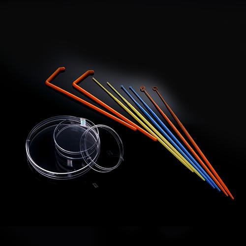 Dnase Rnase Free 10UL Inoculating Loops & Needles Gamma Sterile