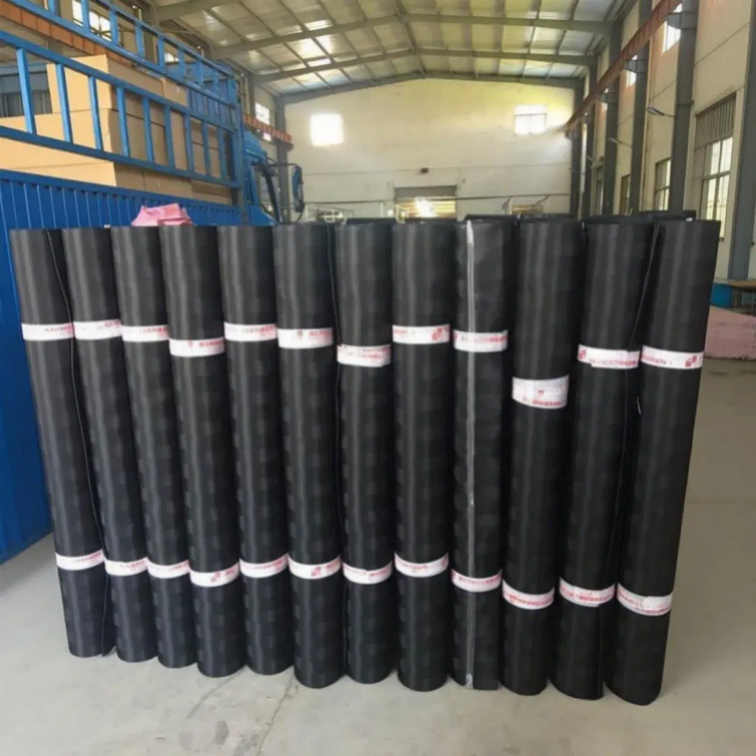 PE Net Designed for Quick Installation and Removal in Seasonal Edible Fungus Tunnels