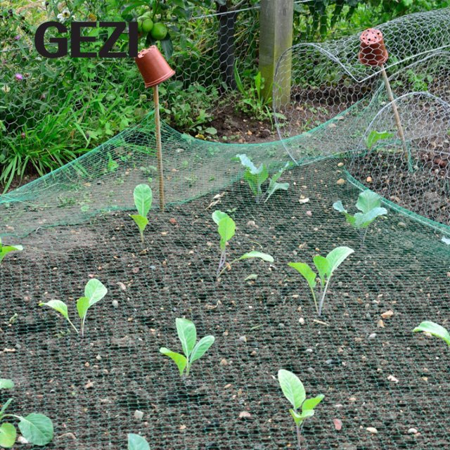 Plastic Bird Garden Netting Barrier Anti-Bird Net for Against Birds Other Animals