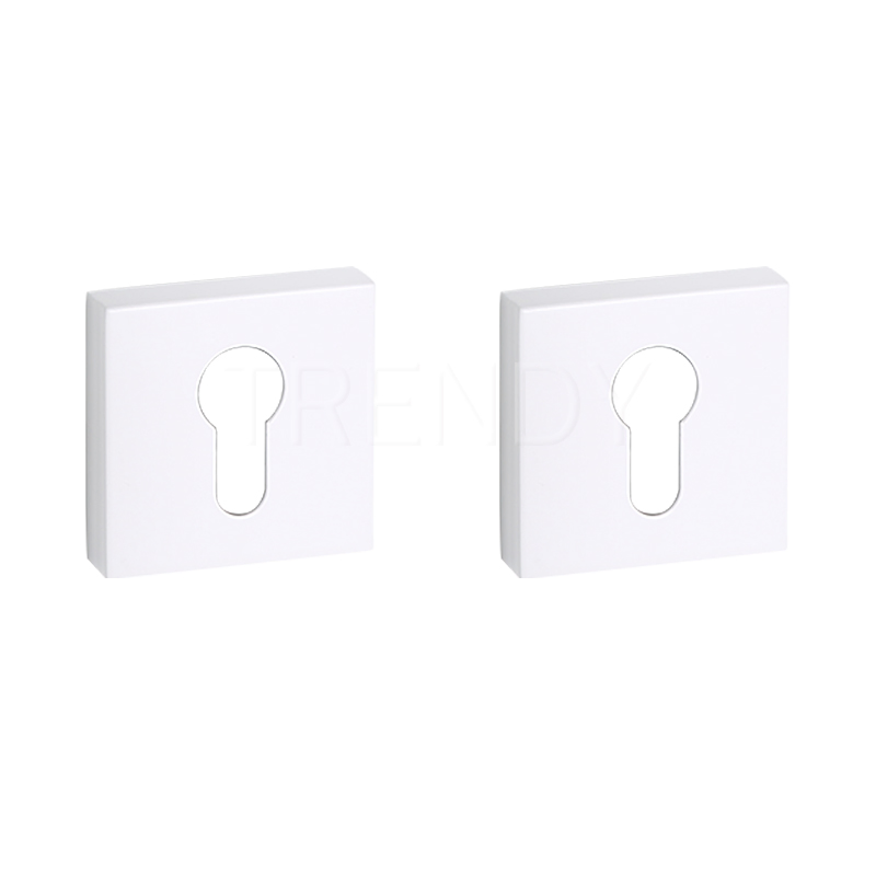 Square Cylinder Rosette Zinc Alloy Escutcheon Cylinder Base Lock Cover (ZR27-CL)