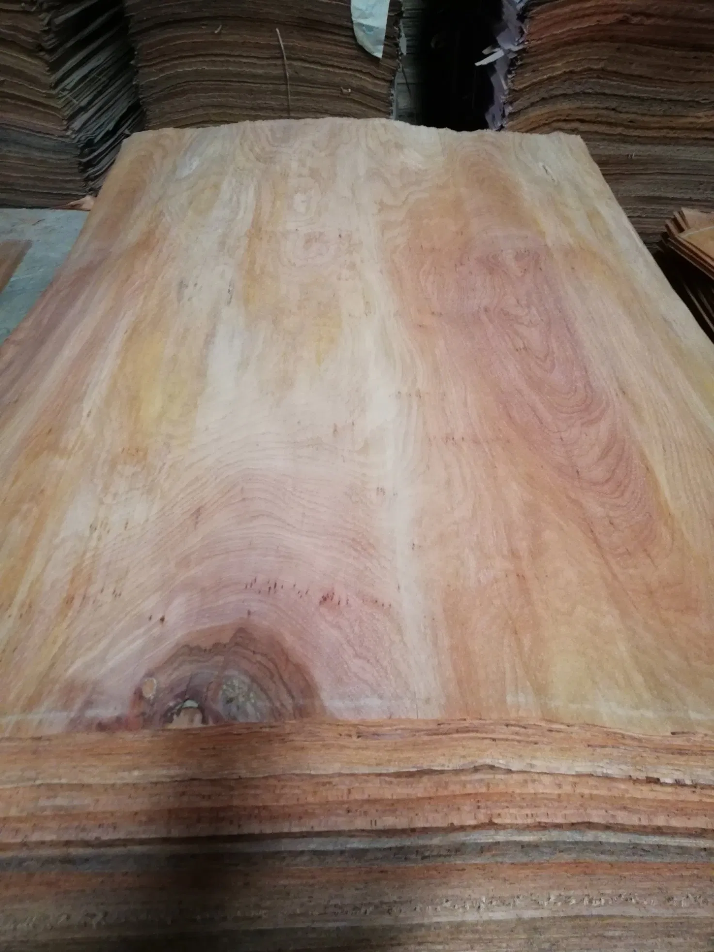 Factory-Guw Wood Veneer 0.25mm in India