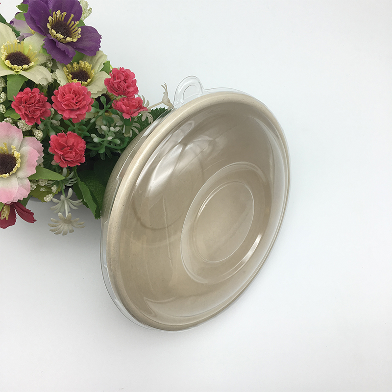 Biodegradable Sugarcane Bagasse Soup Salad Bowl
