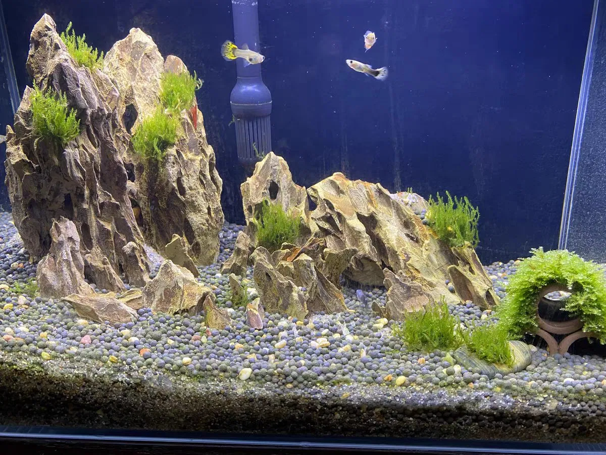 Natural Landscaping Seiryu Stone for Fish Tank Natural Dragon Stone Aquarium Decoration