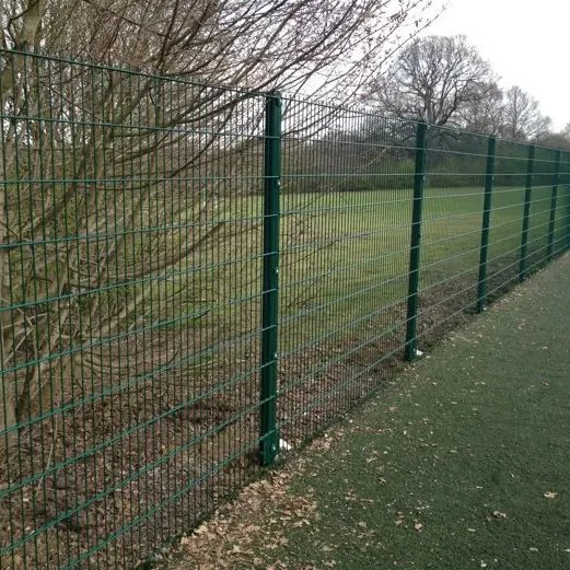 Double Wire Fence, Twin 868/ 656 Bar Fence, 2D Fence for Europe