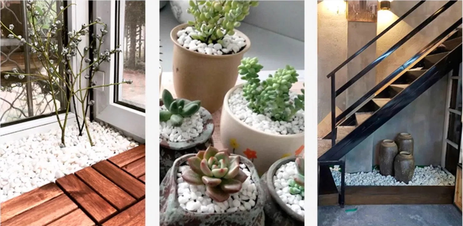 Polished Decorative White Pebble Stones River Rocks Pebbles for Plants, Home DIY