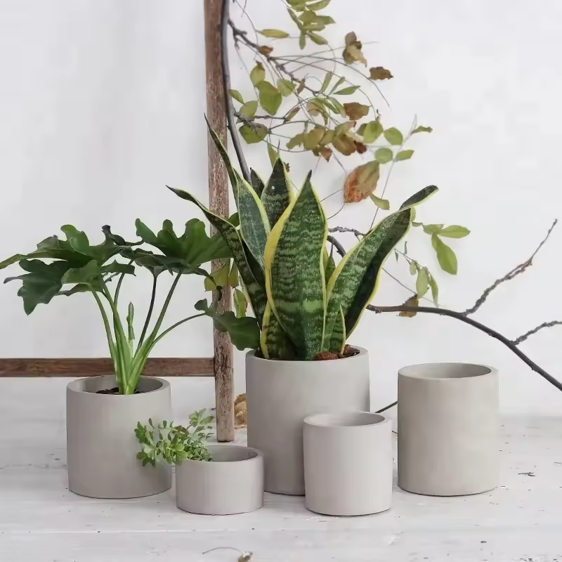 Modern Decorative Cement Flower Pot for Indoor Succulent Planter