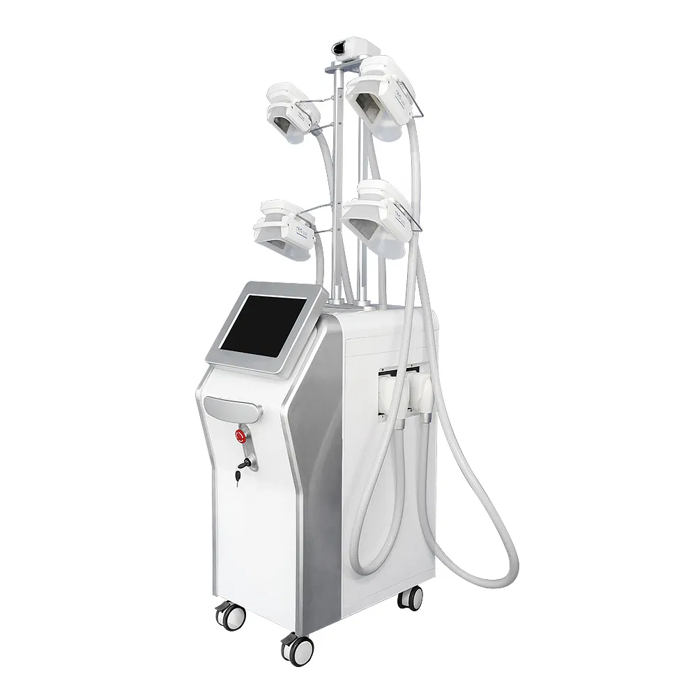 Most Advanced Emssings Cryo 360 Body Sculpt Cellulite Reduction Shape Cryolipolisi Machine Fat Freezing