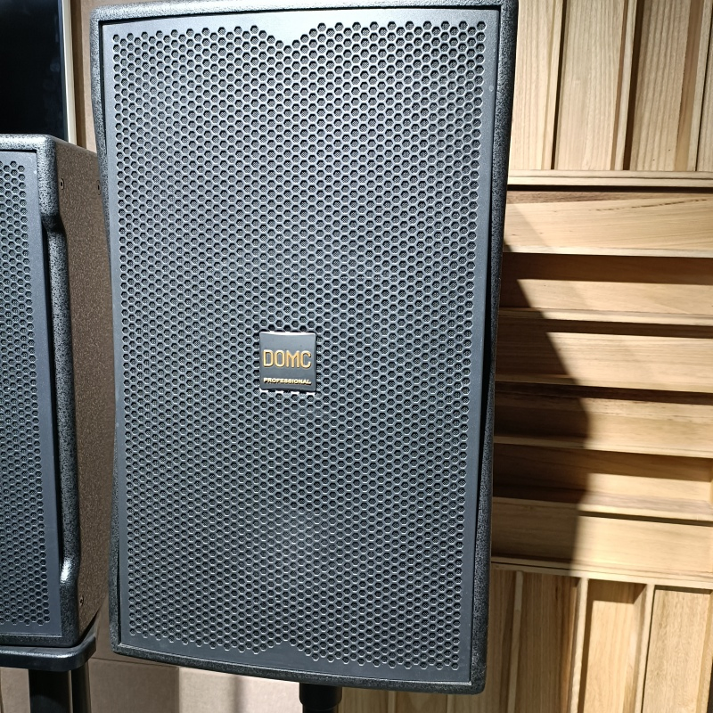 13. Domc K210 10-Inch Speaker: Enhance Your Studio Monitoring Experience