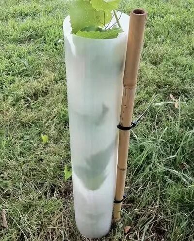 Plastic PP Tree PRO Slit Tube Tree Guards Plastic Tree Protectors Corflute Vine Guards