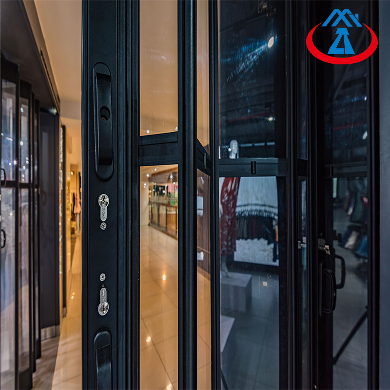 China Shop Front Clear Perspective Polycarbonate Security Door for Commercial