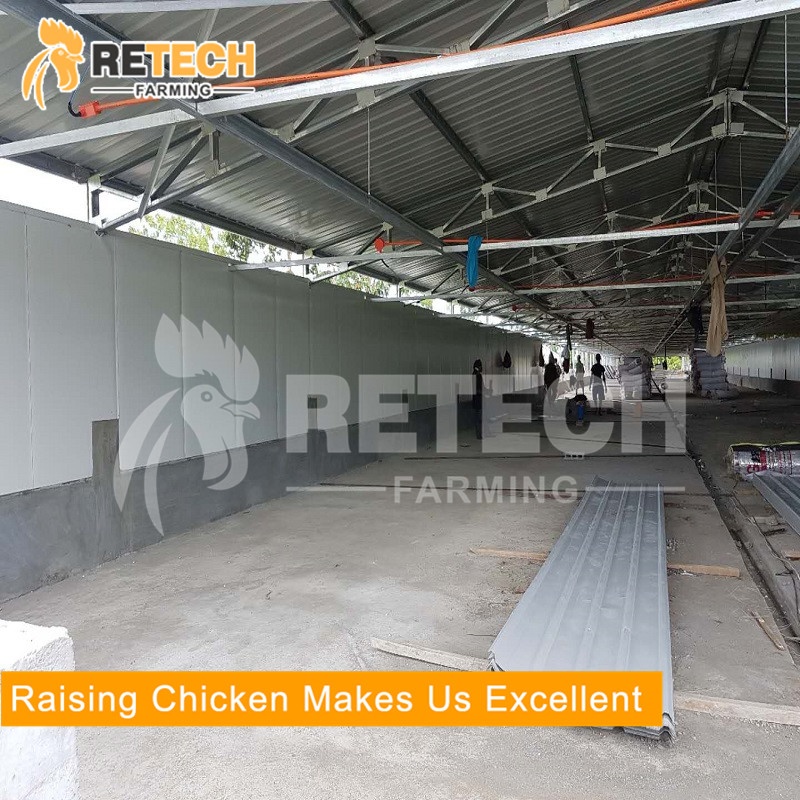 High quality light steel structure commercial poultry house farms for 20000 chickens