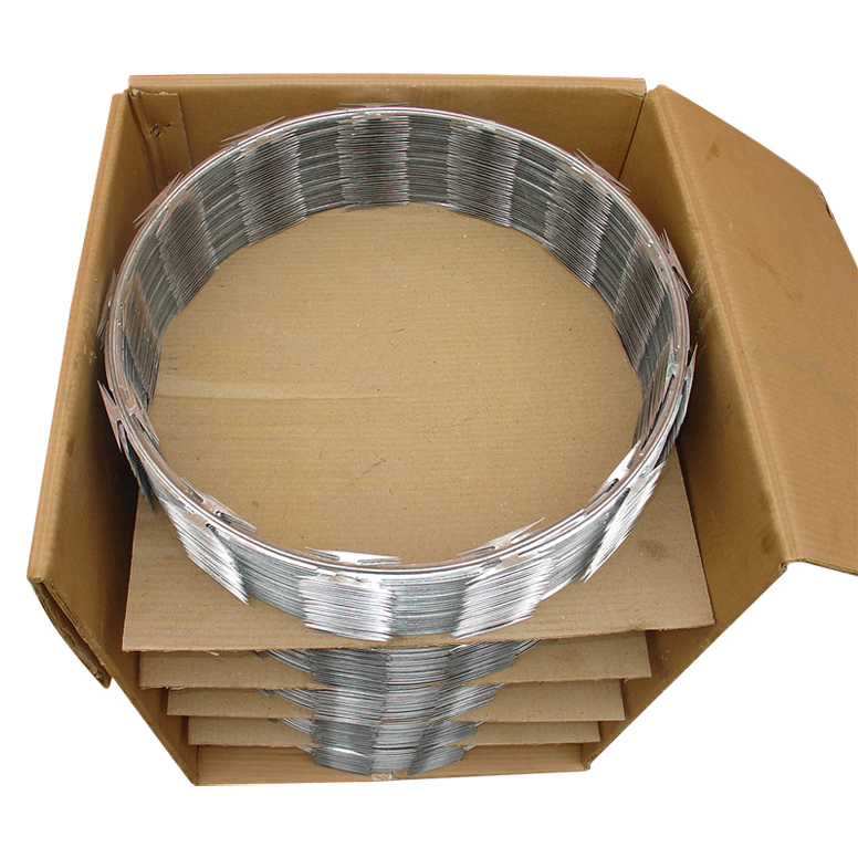 Security Protected Razor Barbed Wire (BTO-28)