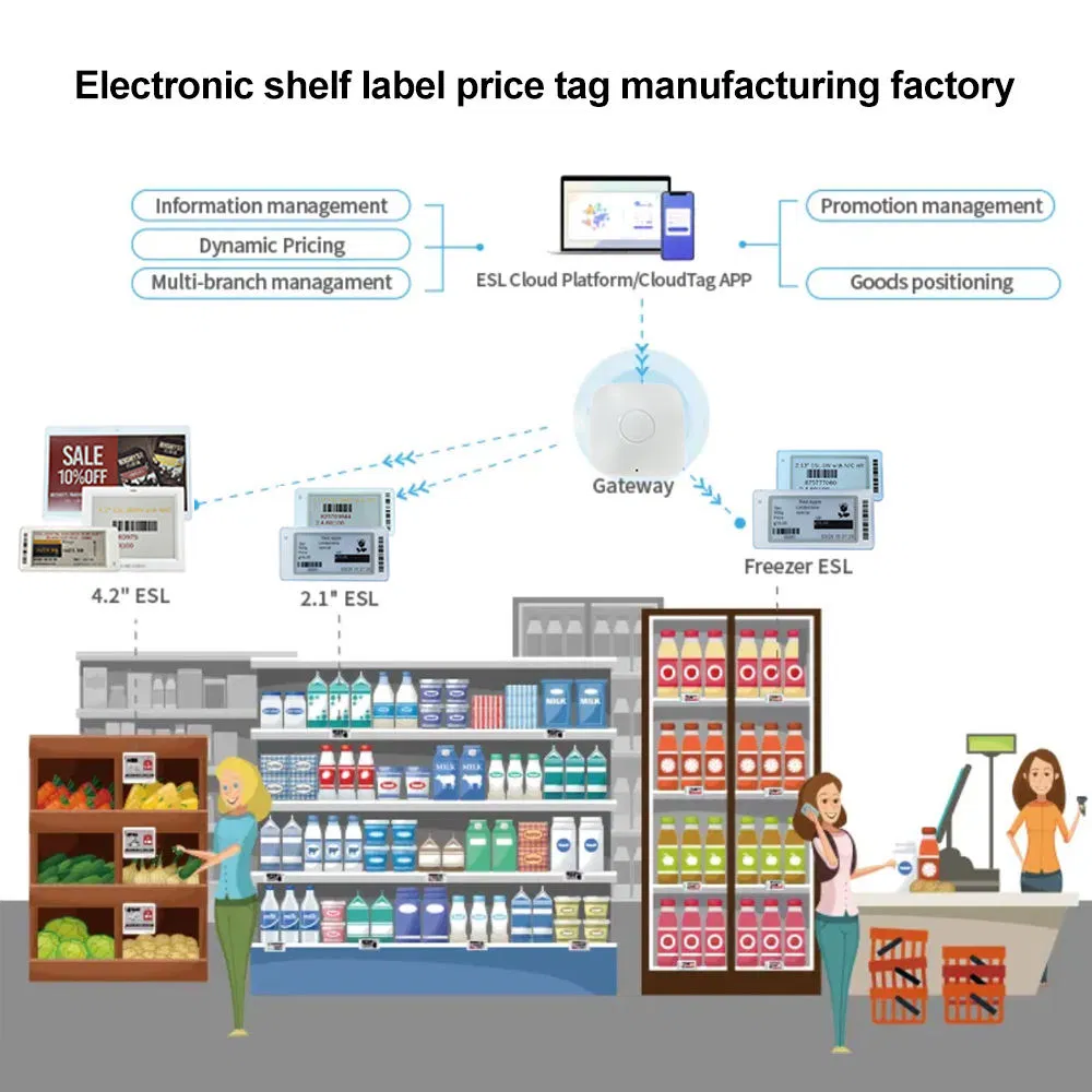 Customized to Sample 4-Color Electronic Shelf Label E-Paper Tags Display Digital Price Tag Smart Price Tag with E Ink Display Crash Prevention System