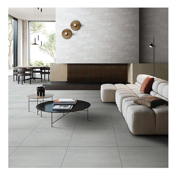 60X60 Floor Ashes Gray Tiles Ceramic Full Body Rustic Tiles Living Room