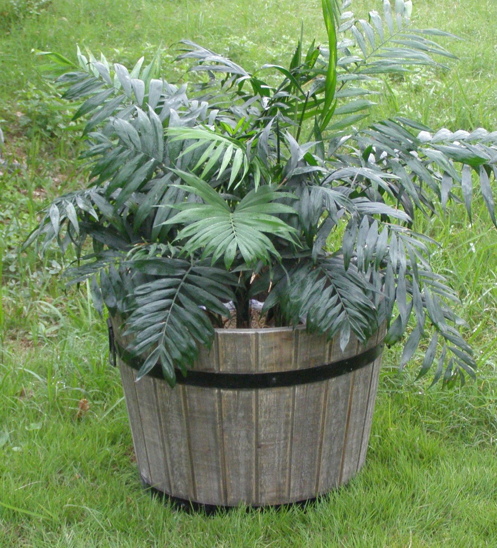 Горшки цветочные декоративные комнатные садовые