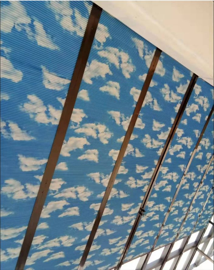 Manual Pattern Cordless Blackout Win Shades Blackout Honeycomb Blinds Skylight Anti Insect Fabric Aluminum Screen Black Color