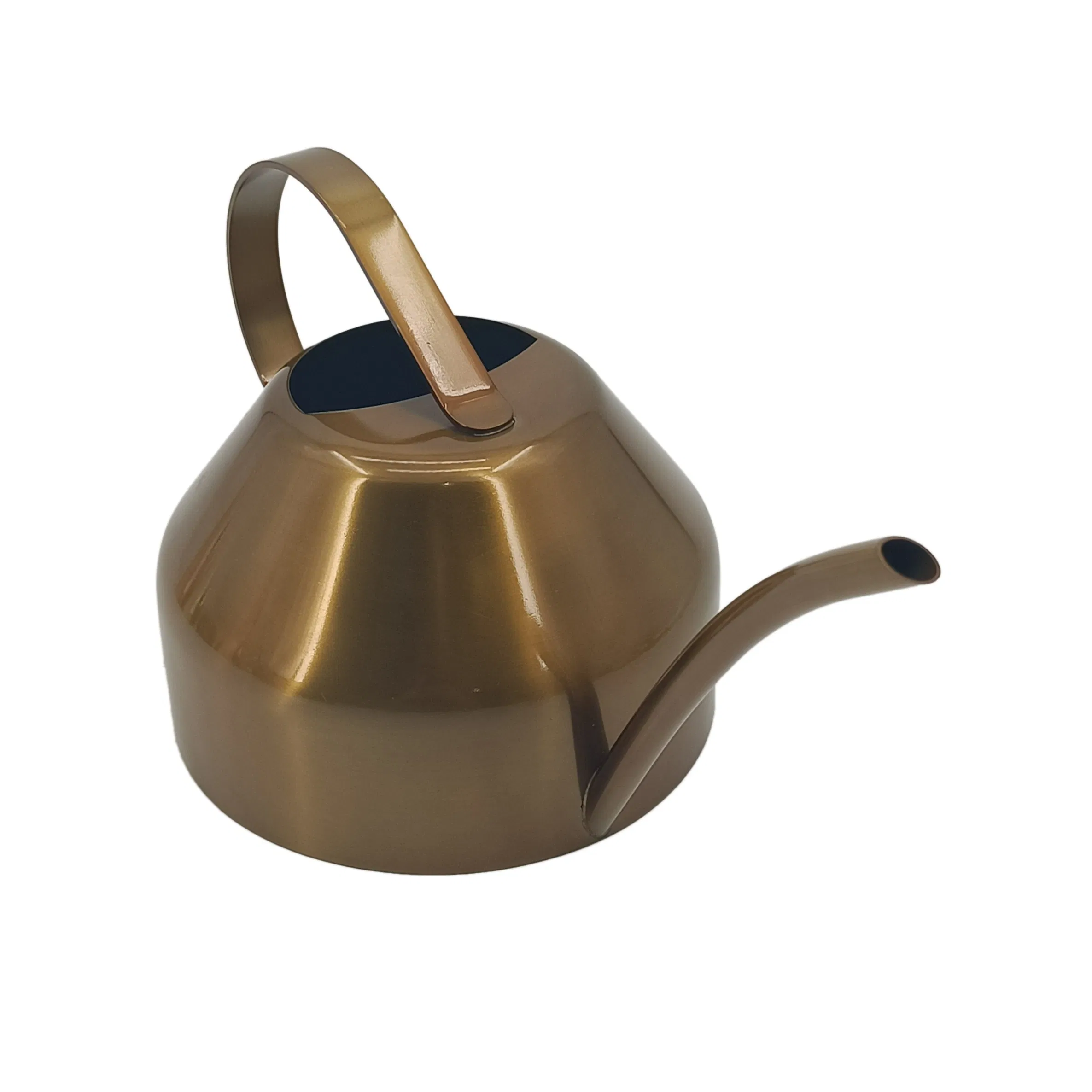 Low Price Modern Decorative Stainless Steel Home Hand Garden Brown Watering Can with Spout