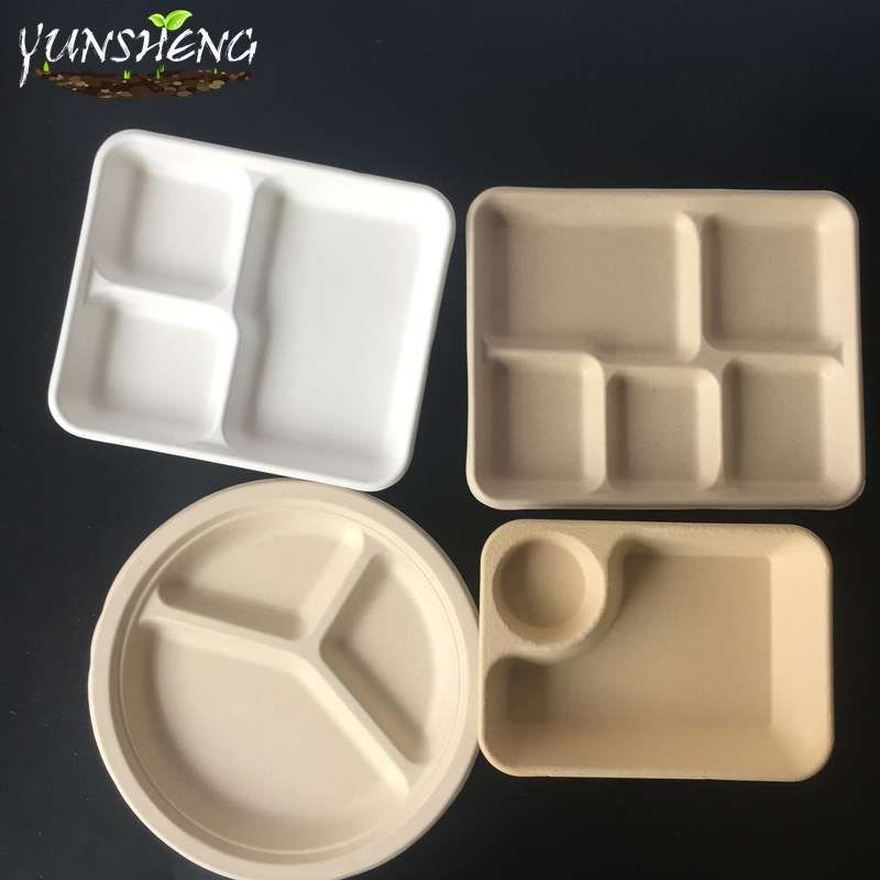Disposable Biodegradable Food Paper Trays, Five Compartments