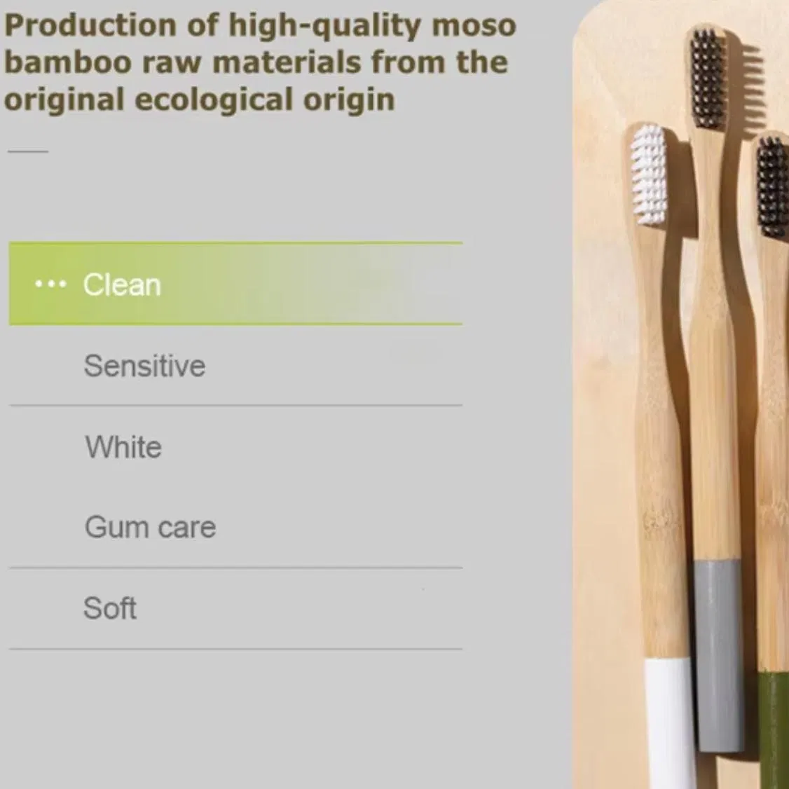 Wholesale Biodegradable Eco Friendly Bamboo Toothbrush for Household and Hotel