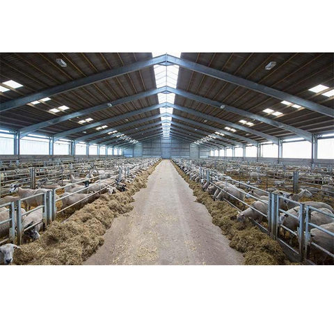 Prefabricated /Prefab Steel Frame Animal Poultry Farm Sheep Goat Storage Metal Shed
