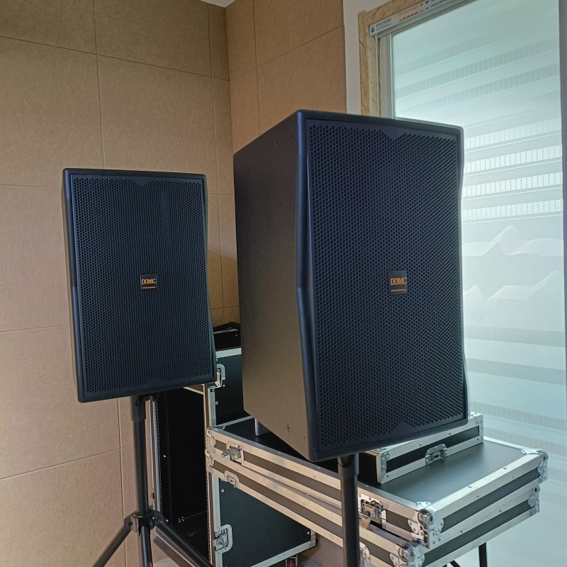 Elite 12 Inch Speaker System for Home Theater Enthusiasts