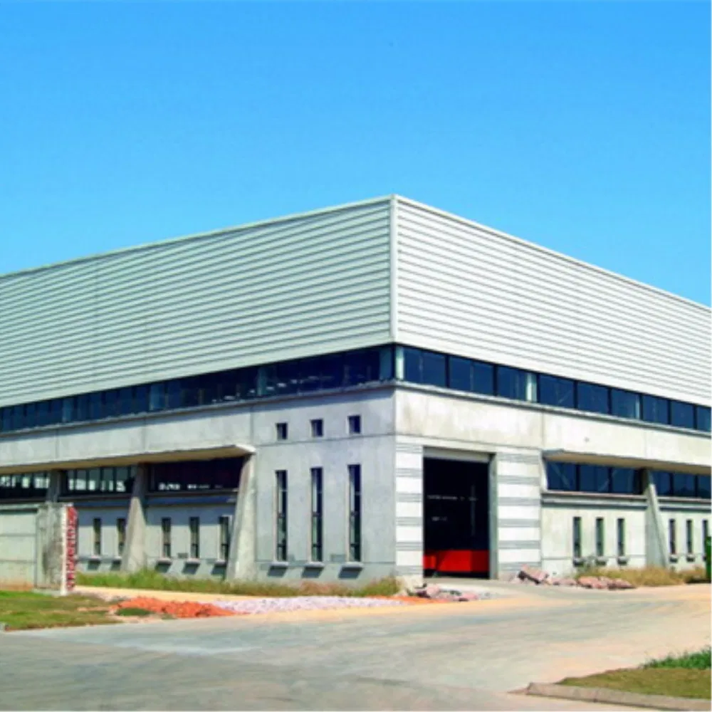 Customized Prefabricated Steel Structural Frame Garage