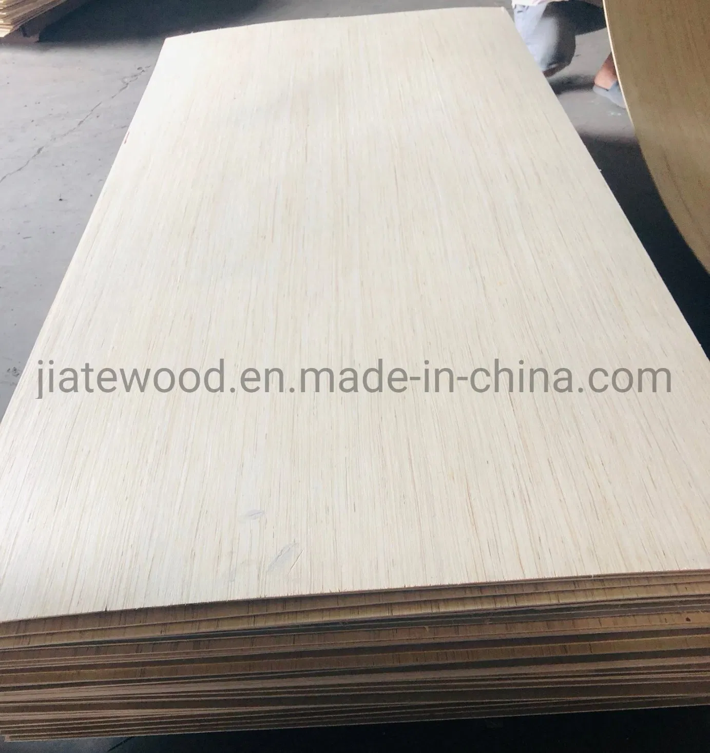 EV Poplar Plywood in Size 1220X2440 mm