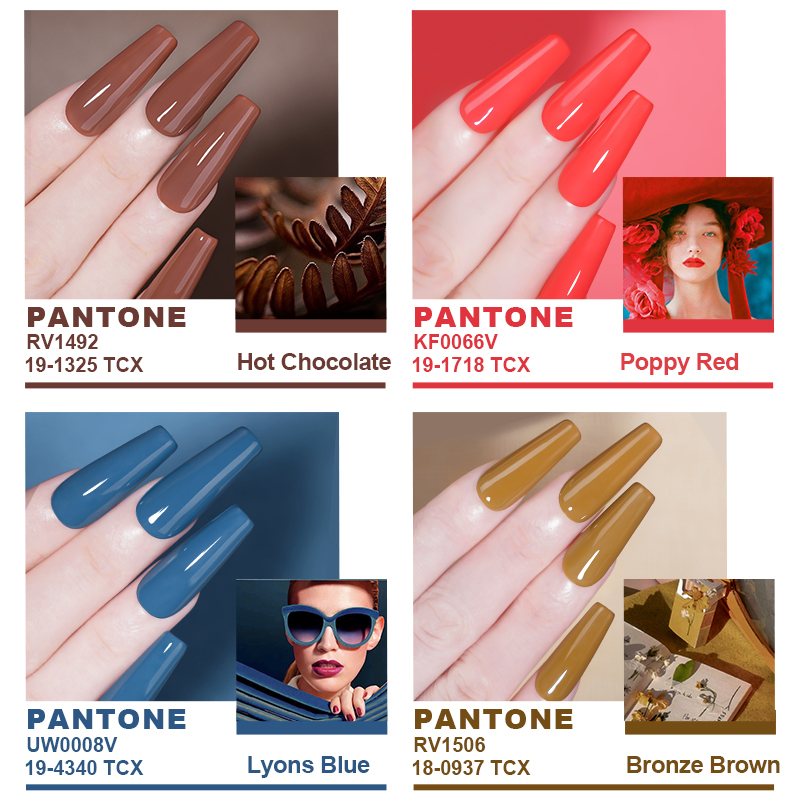 R S Nail Popular 8g Pantone Color Gel Polish 10 Color OEM/ODM Accepted Wholesale UV LED Varnish Gel Long Lasting Easy to Apply