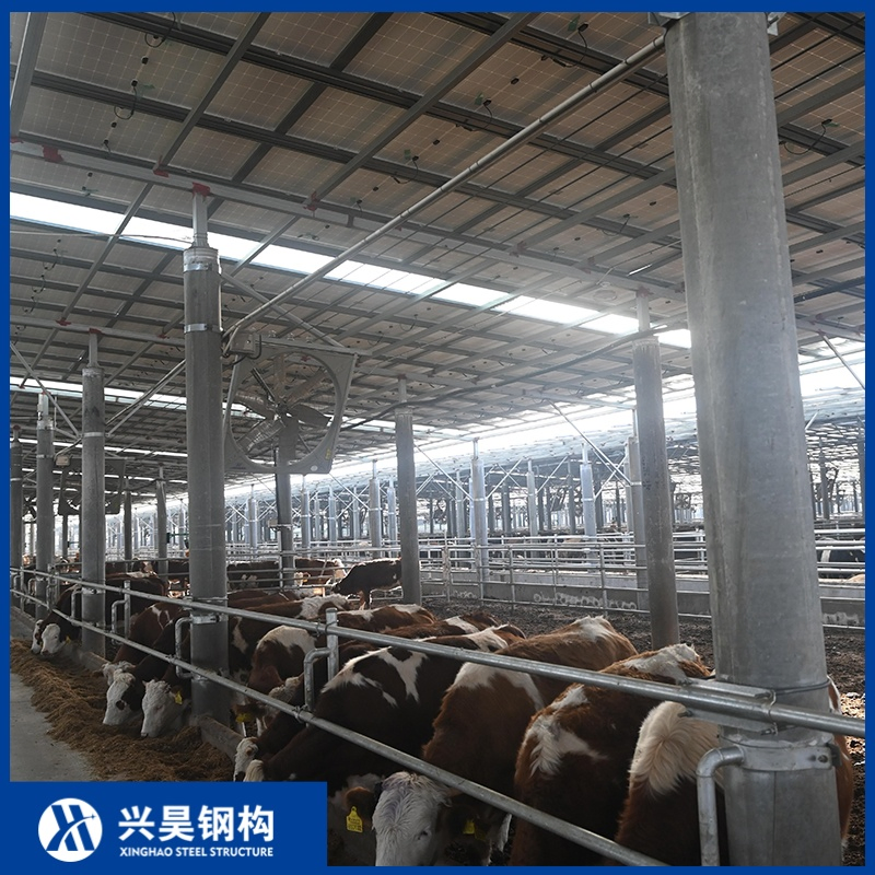 Continuous High-Rigidity Steel Truss Assembly Prefab Metal Storage Farming Equipment Steel Structure Sheep/Goat/Pig/Hog/Cattle/Cow/Poultry House/Shed
