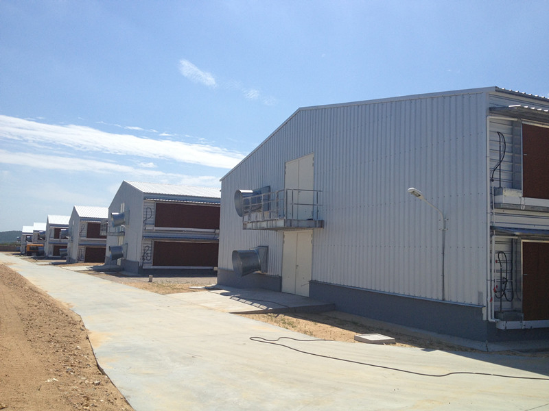 Prefabricated Structural Steel Customized Shed Metal Construction Poultry House
